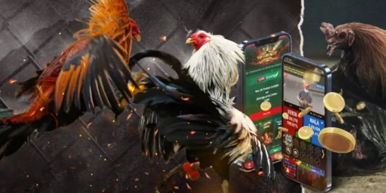 Chinh Phục Sảnh Đá Gà GA28 Tại 88CLB Với Chiến Thuật Bất Bại 2 Chinh Phục Sảnh Đá Gà GA28 Tại 88CLB Với Chiến Thuật Bất Bại