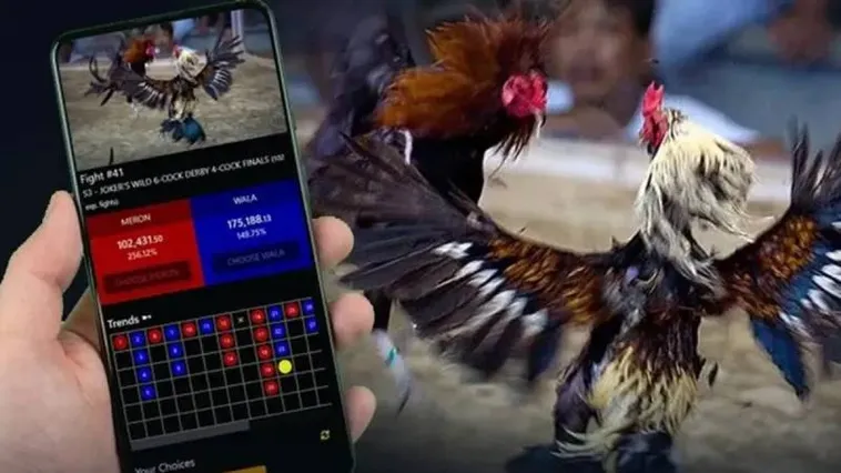 Khám Phá Thế Giới Đá Gà 88CLB Đỉnh Cao Rinh Thưởng Siêu Khủng